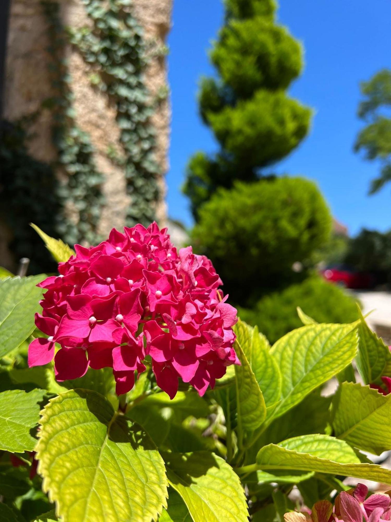 Hotel Les Vieilles Tours Rocamadour Buitenkant foto