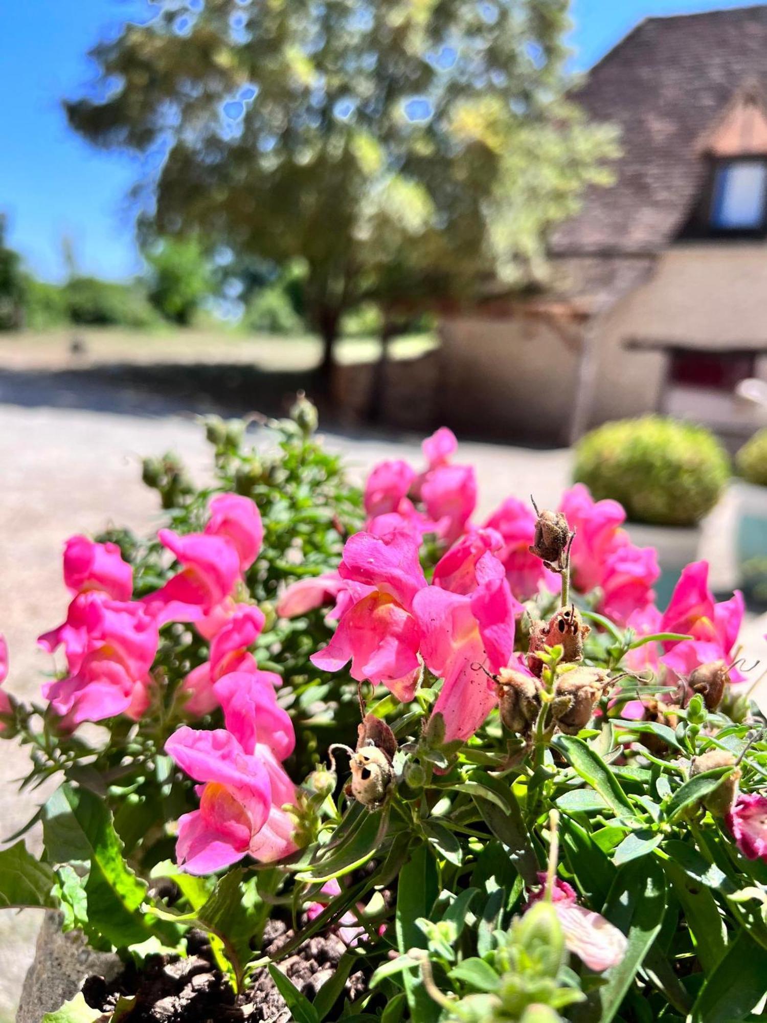 Hotel Les Vieilles Tours Rocamadour Buitenkant foto